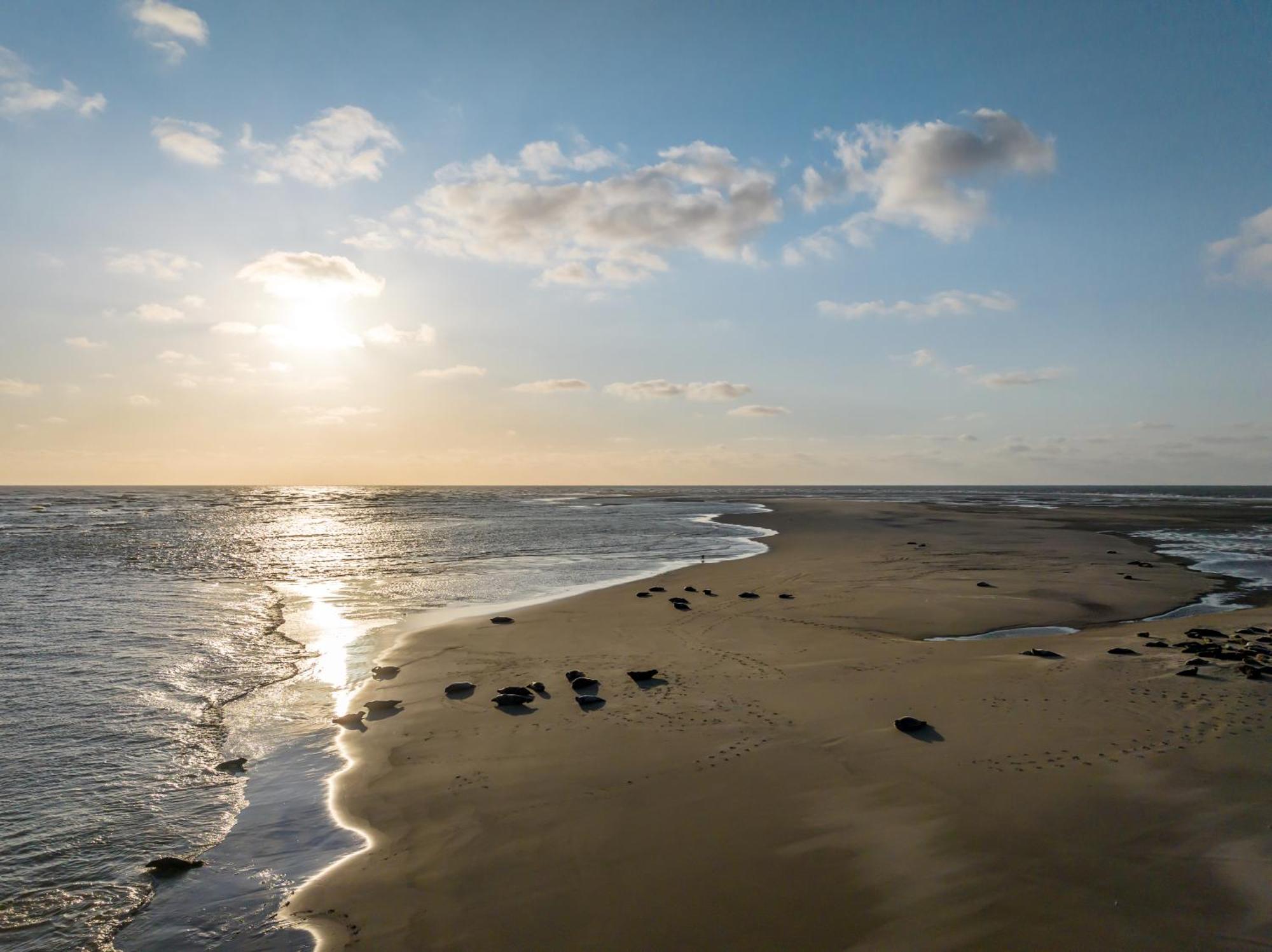 Hotel Renesse Eksteriør bilde